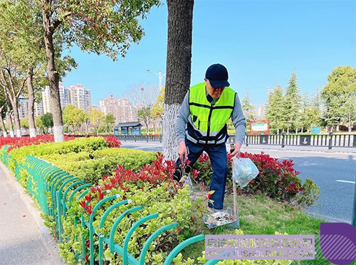 1657684826797359.jpg 5c.jpg